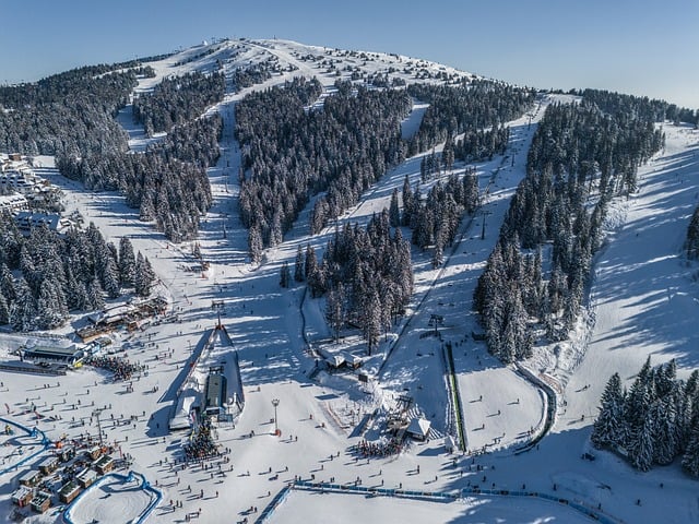 Kopaonik